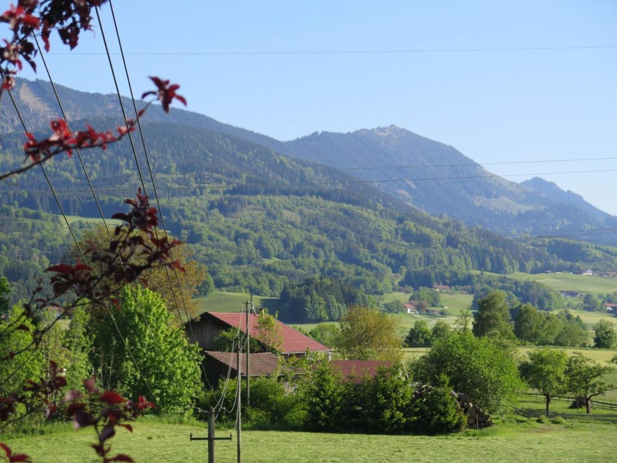 Ferienwohnung Riesenblick Frasdorf Eksteriør bilde